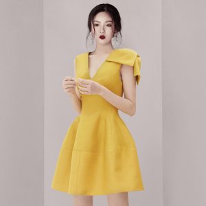 French Style Women's Dress Skirt